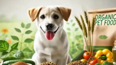WellHealthOrganic Organic Pet Food Benefits