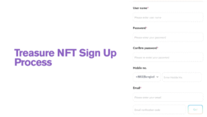 treasure nft login